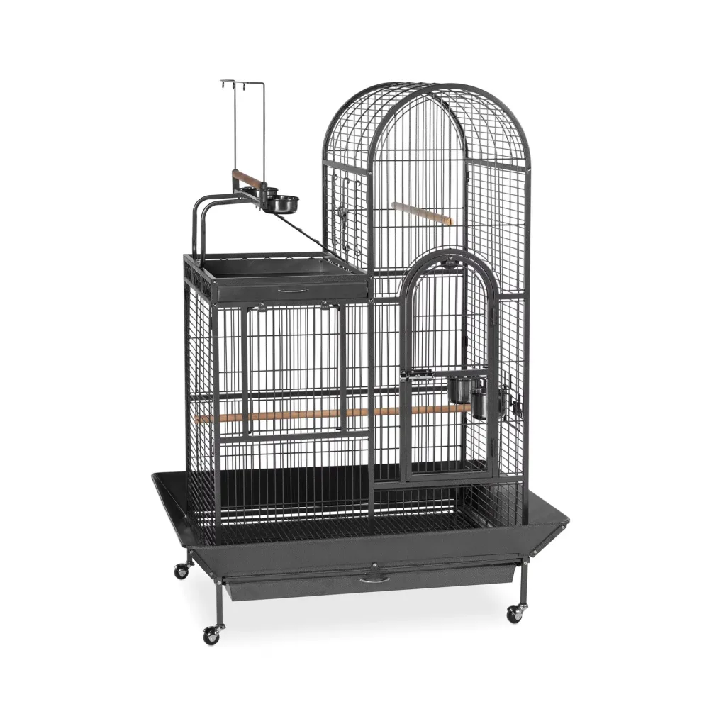 Bird Care black 10" 4"