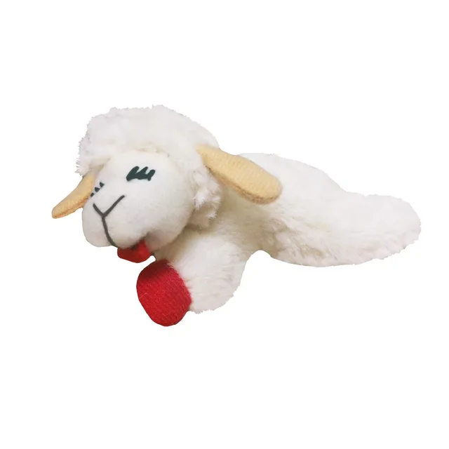 Cat Toy