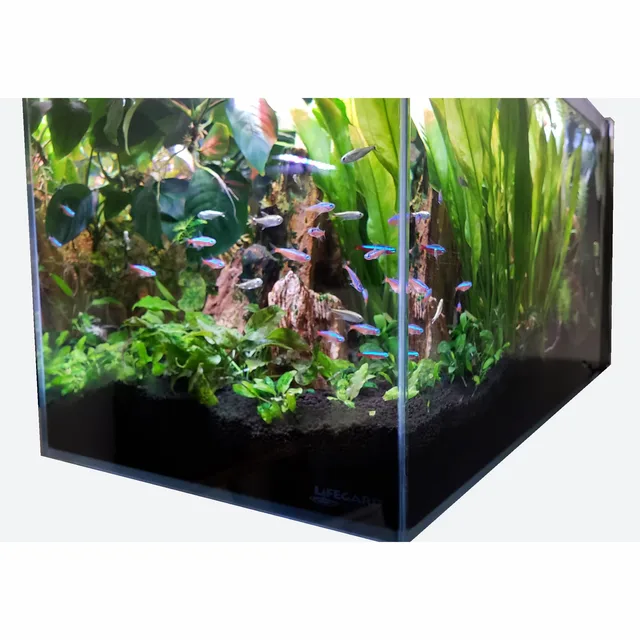 Aquarium Tank 3.8 gallon 14.17" 7.87"