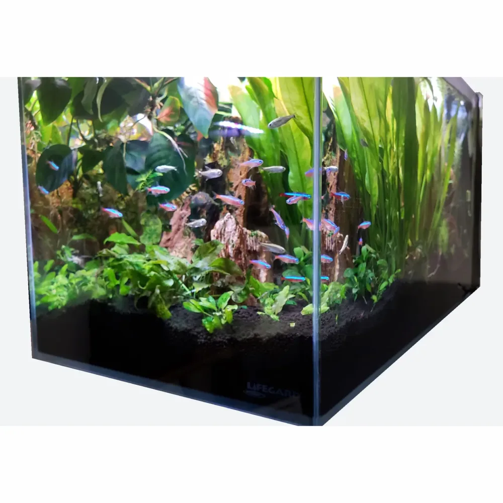Aquarium Tank 3.8 gallon 14.17" 7.87"