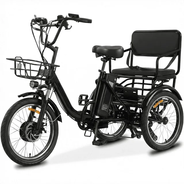 Wheel Electric 500w folding black