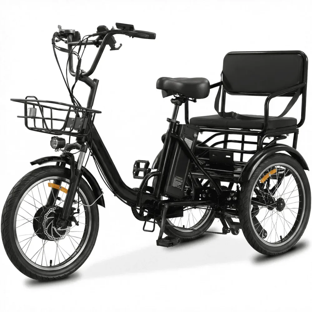 Wheel Electric 500w folding black