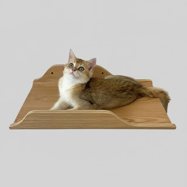 Shelf adjustable