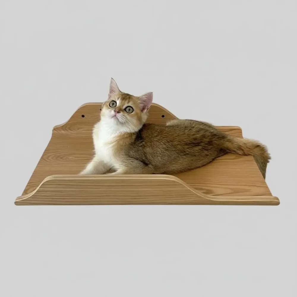 Shelf adjustable