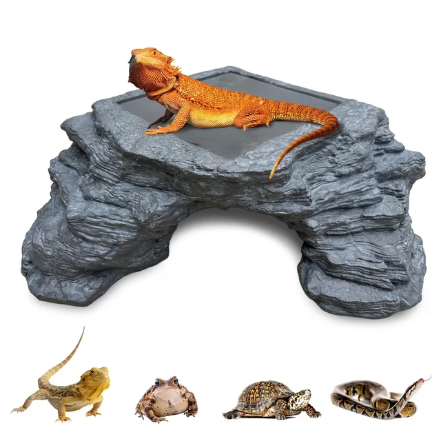 Reptile