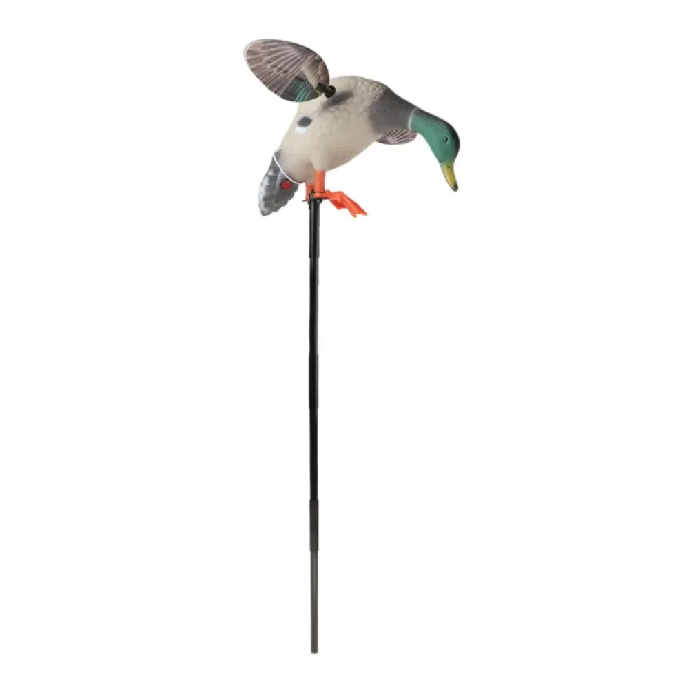 Hunting 82cm 220v