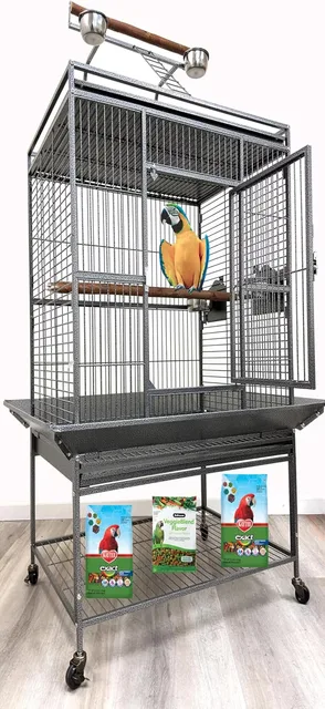 Bird Parrot 24" 22" 35"