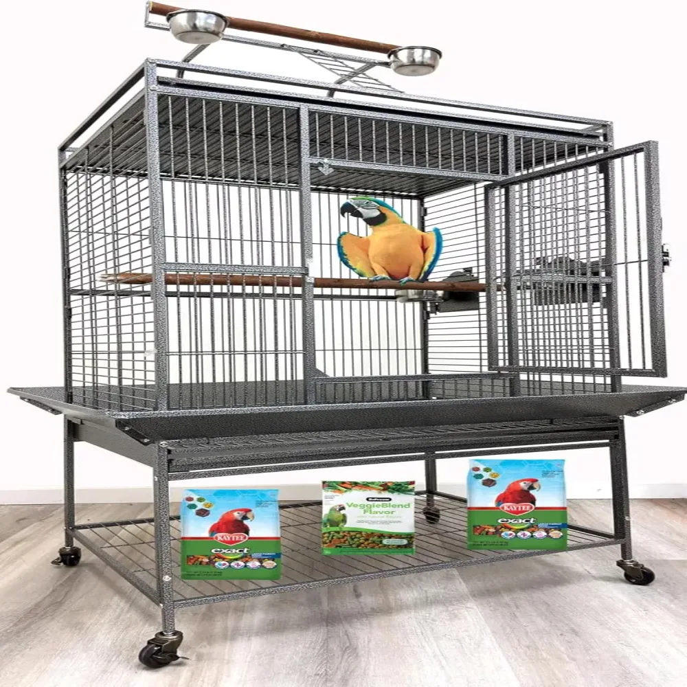 Bird Parrot 24" 22" 35"