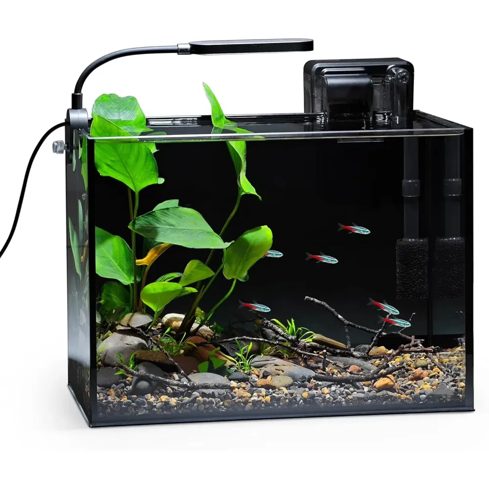 Fish Tank 2.5 gallon black