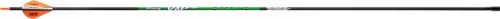 Arrows 6 pack 31in 003in