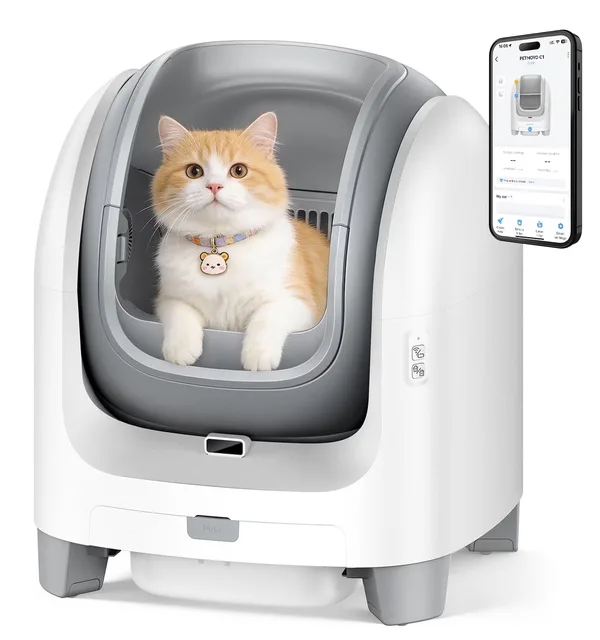 Cat Litter