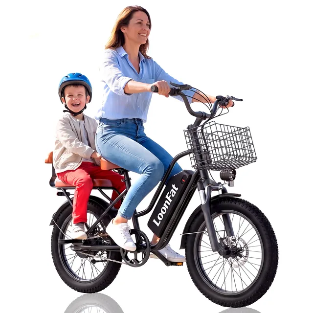 Electric Bike 48v 1000w 20"