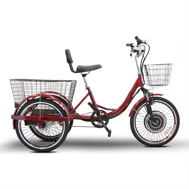 Electric Tricycle 1000w 48v 1000 watts