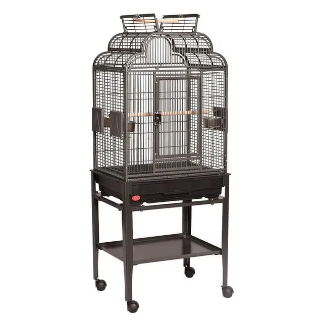Bird Care 17 in black 22"