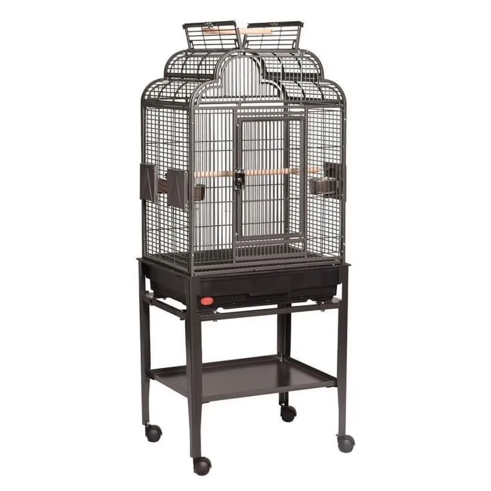 Bird Care 17 in black 22"