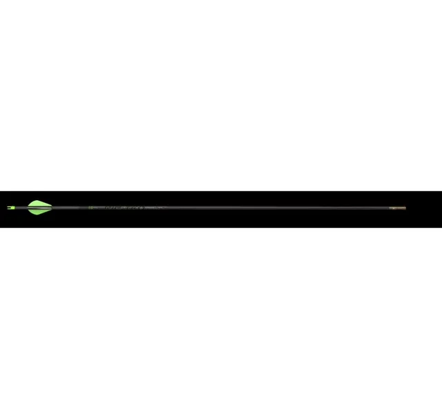 Bows & Arrows 6 pack