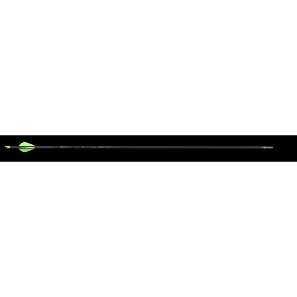 Bows & Arrows 6 pack