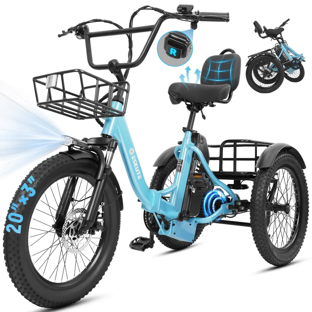 Electric Tricycle 750w 48v 20"