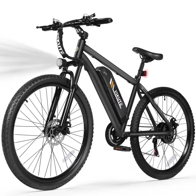 Electric Bike 750w 48v black