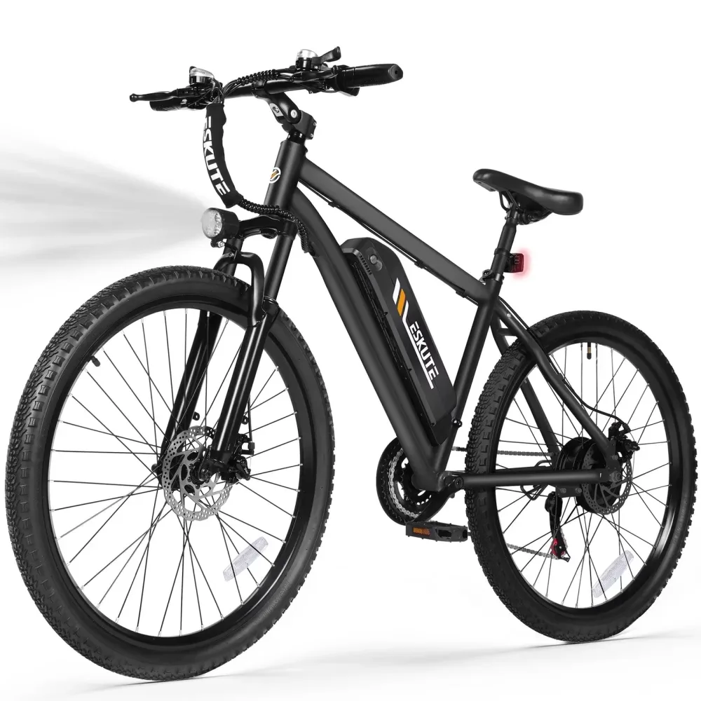 Electric Bike 750w 48v black
