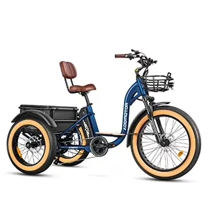 Electric Bike 750w 48v blue