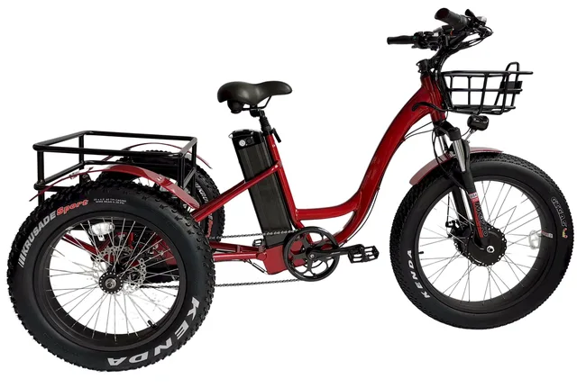 Electric Bike 750w 450 lbs 24"