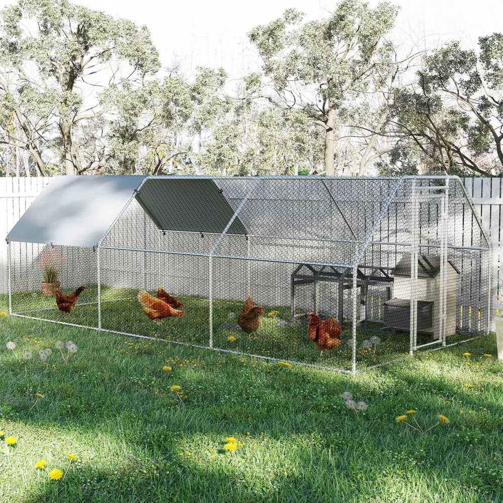 Chicken Coop 19.5 ft silver 9.9 w