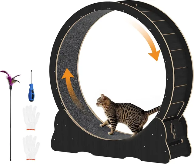 Cat Treadmill 38.2 inch black white