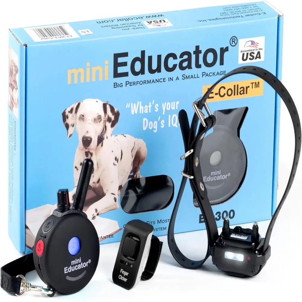 Training Collar waterproof black 2.6"