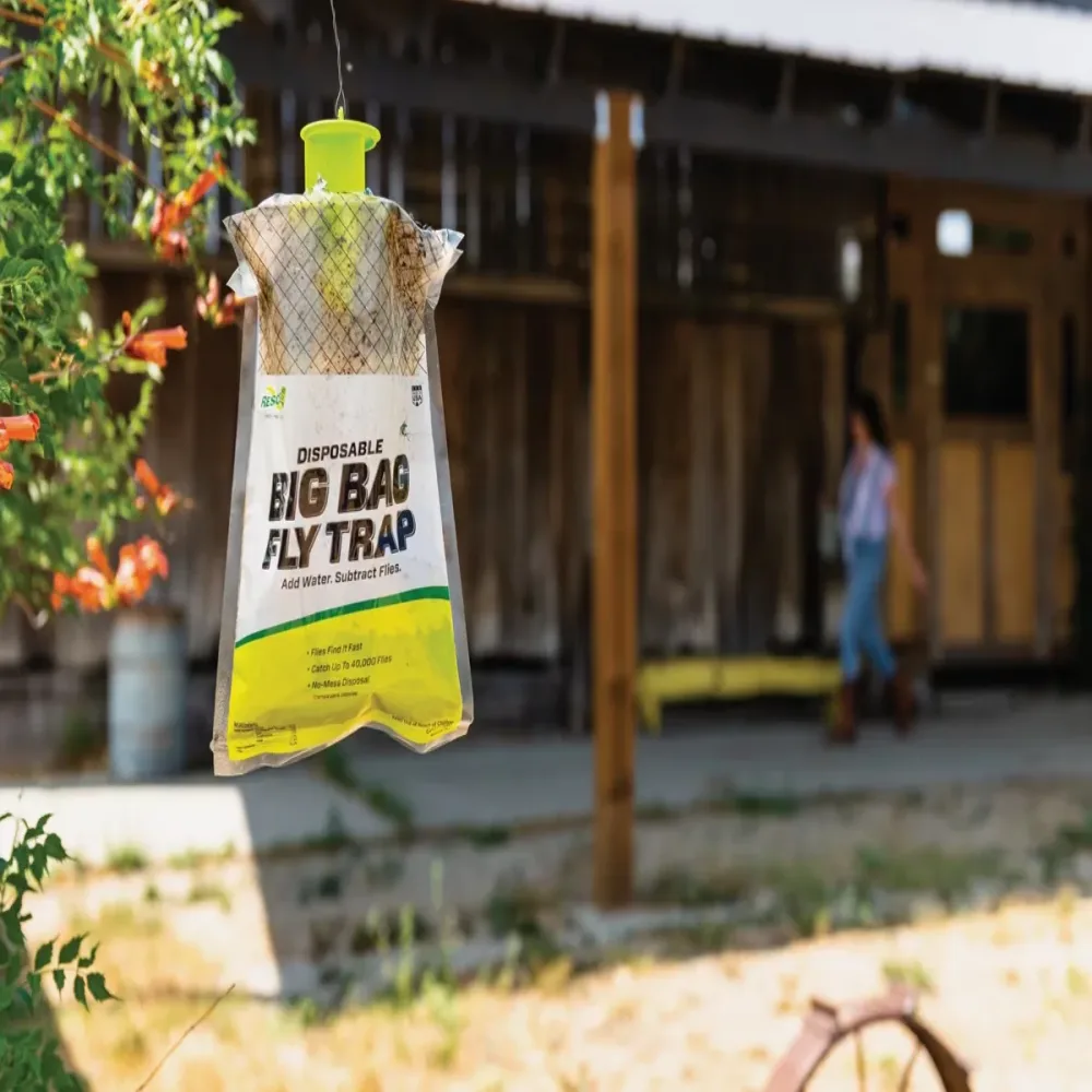 Fly Trap