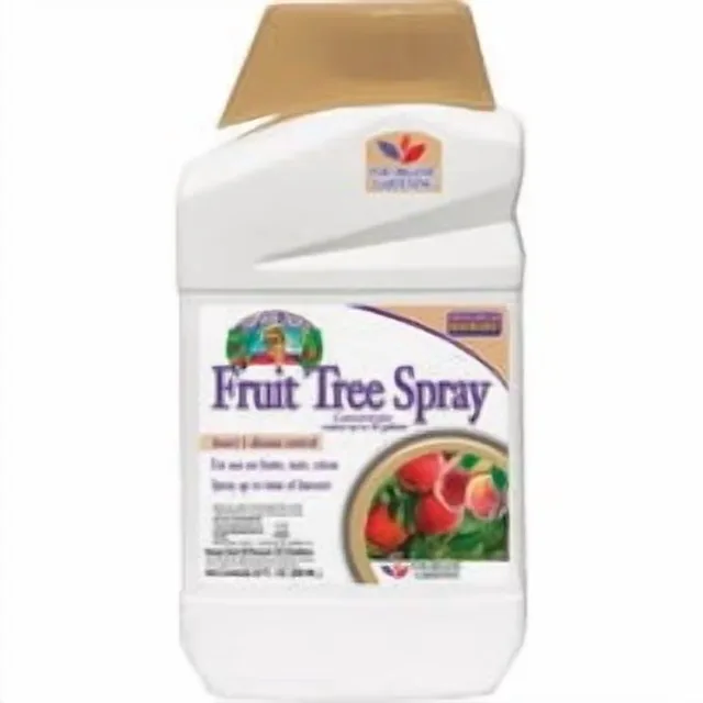 Insect Disease black brown