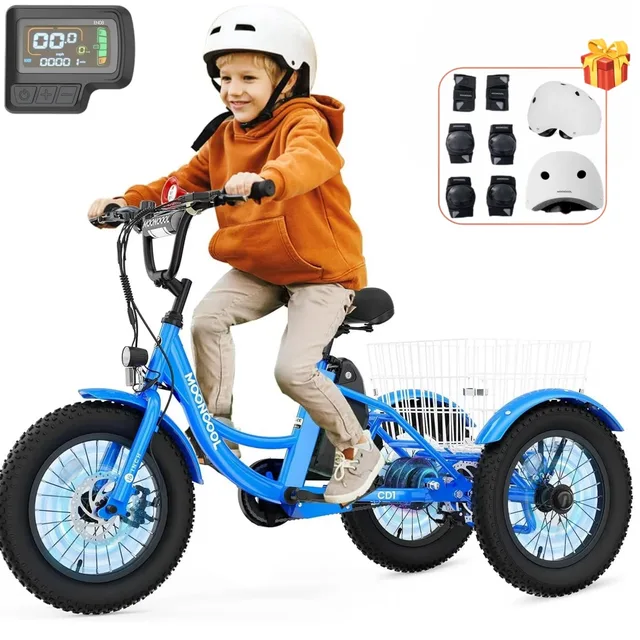 Battery 250w 24v 16"