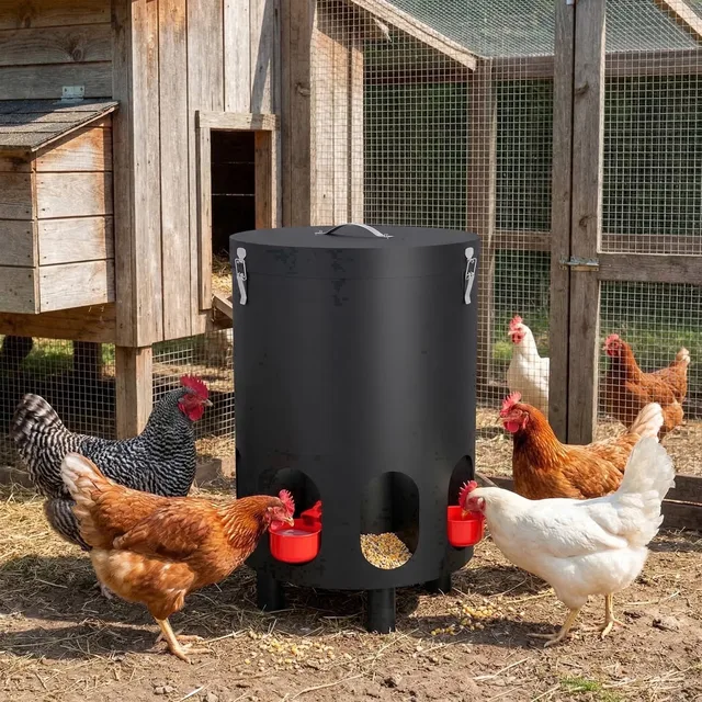Chicken Coop 7 gallon 4 gallon 21.9 inch