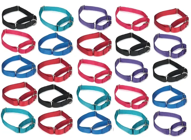 Dog Collar 16 inch 16 inches 20 inches