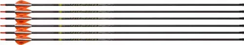 Arrows 6 pack 31in 001in