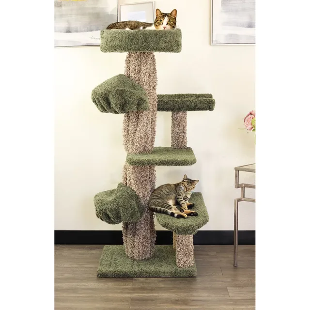 Furniture & Enrichment 50" 25.00" 50.00"