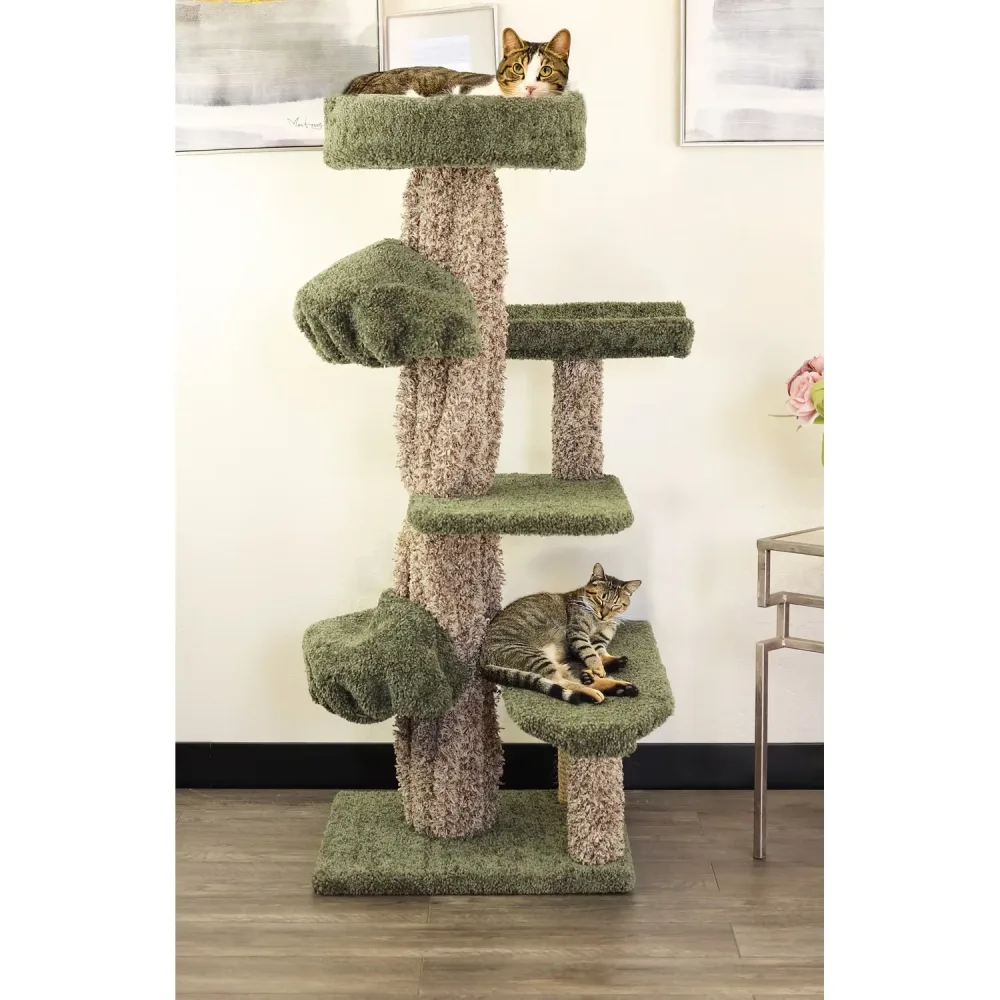 Furniture & Enrichment 50" 25.00" 50.00"