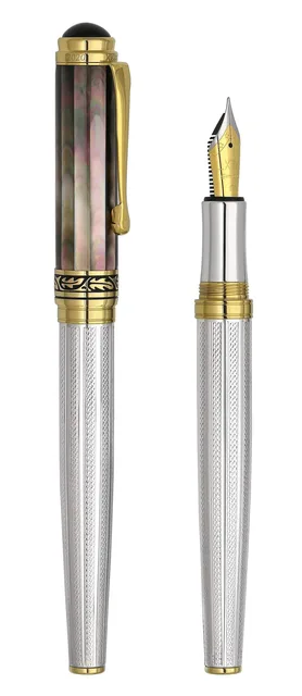 Fountain Pen silver black