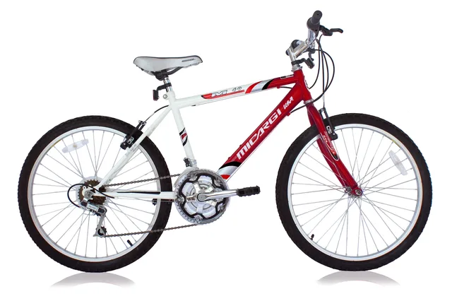 Bike 24 in 8" 10"