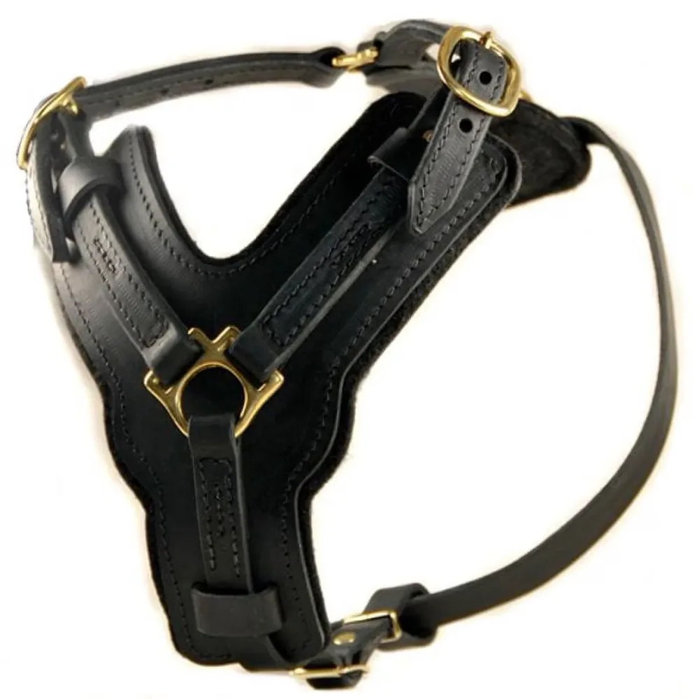 Collars & Travel black 4 inch 30 mm