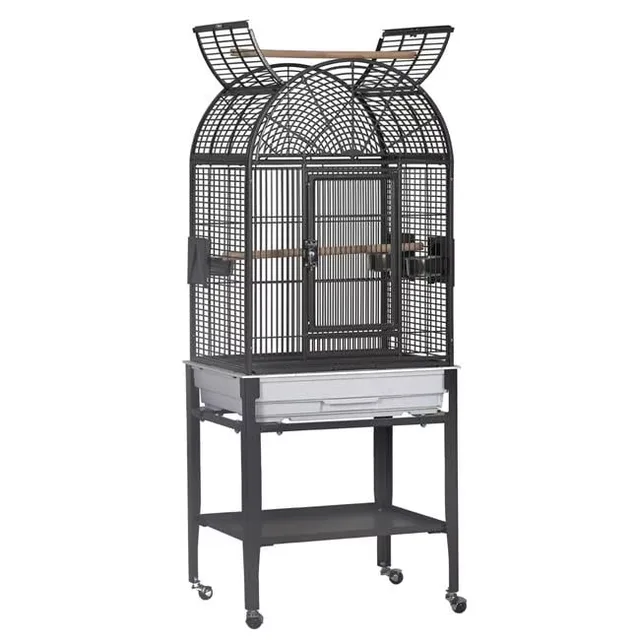 Top Bird 17 in black 22 inches