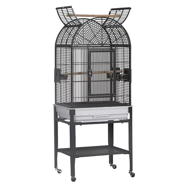 Top Bird 17 in black 22 inches