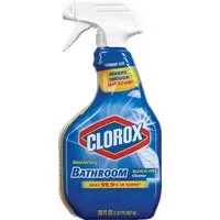 Disinfecting Bathroom 30 oz