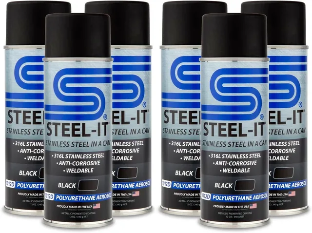 Paint 6 pack black 12 ounce