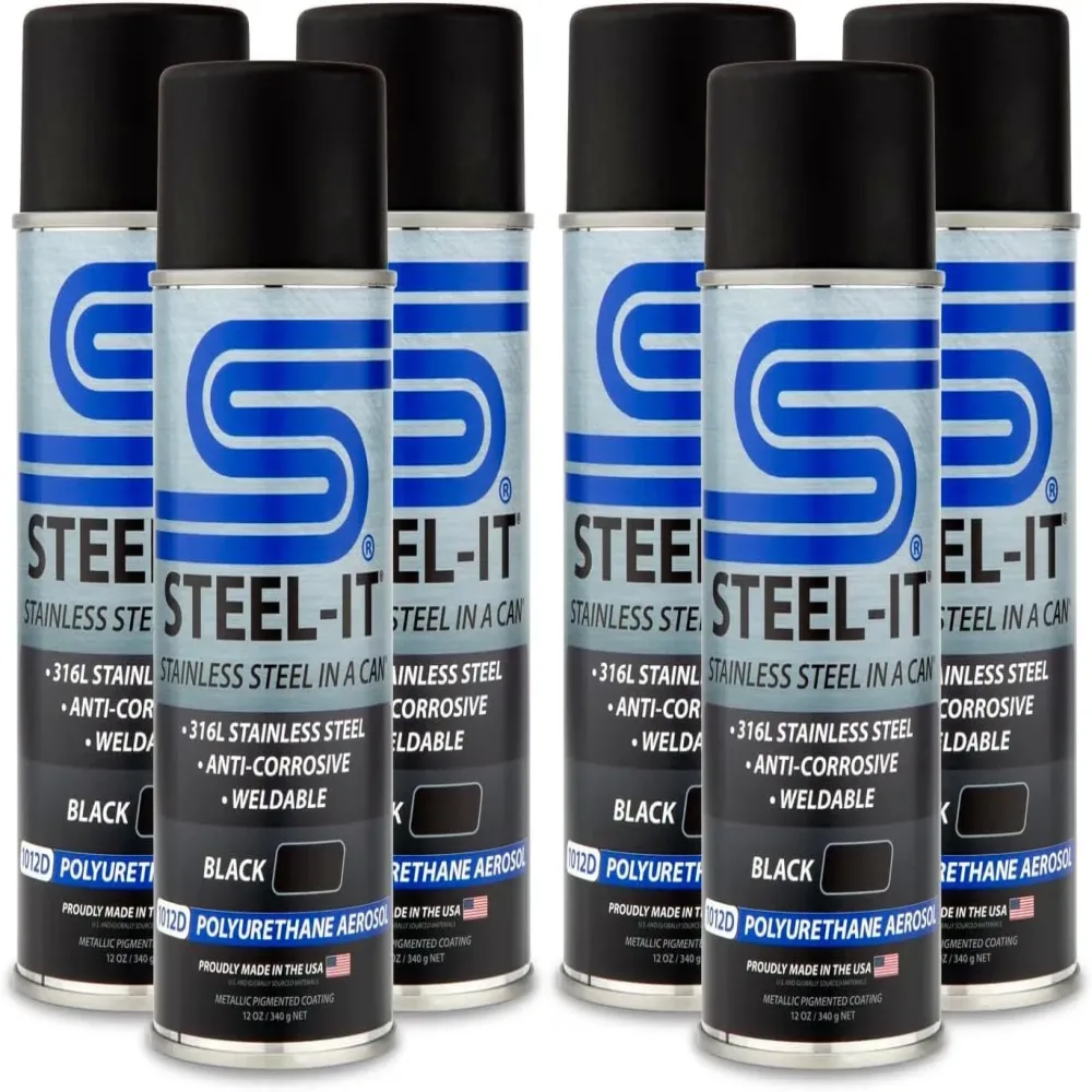 Paint 6 pack black 12 ounce