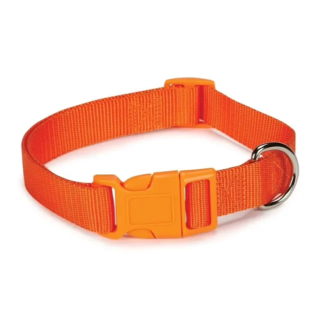 Dog Collar 10 inch adjustable orange