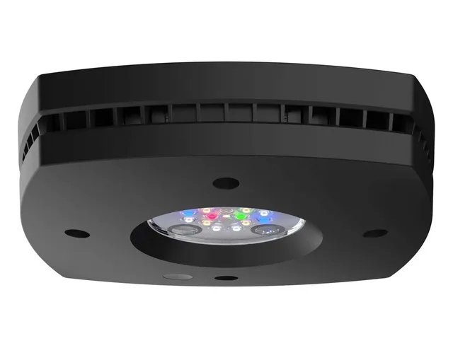 Freshwater Light led black 24"