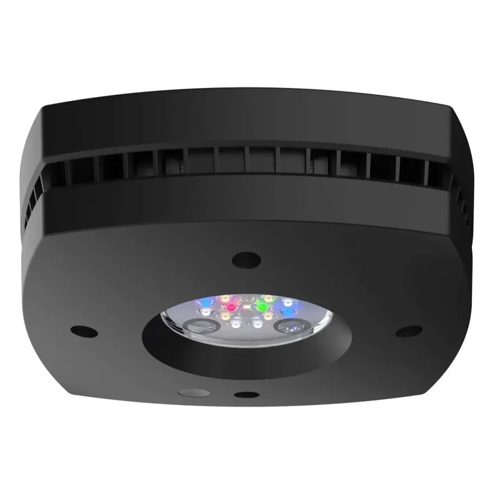 Freshwater Light led black 24"