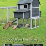 Chicken Coop blue white