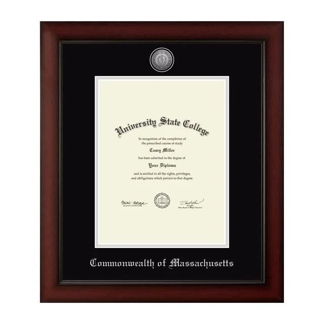 Frame 8.5w silver black
